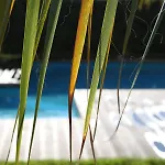 Apartman 2-room Near With 2 Pools - Luna